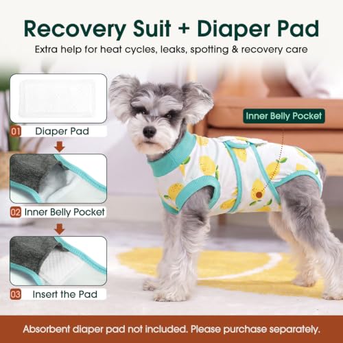 Recovery Suit for Dogs Cats (X-small (Back:8.3-11.4'', Weight:4-7 Lb) / Lemon Zest)