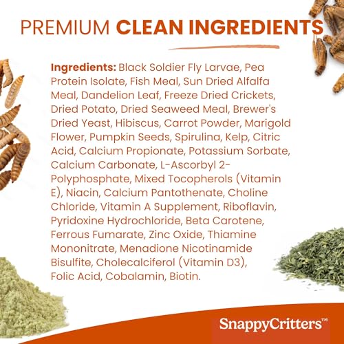 Bearded Dragon Food