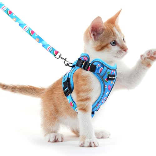 Cat Harness and Leash Set (H604 Pro Ocean Blue / X-Small (4-6lb))