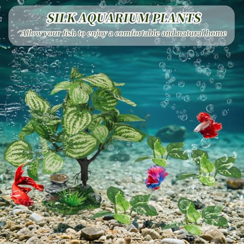 Betta Fish Tank Decor (Green5 / big 5)