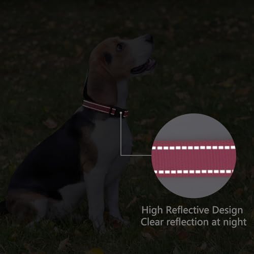 Reflective Dog Collar (Hop Pink / L:width 1"neck 17.5-27")