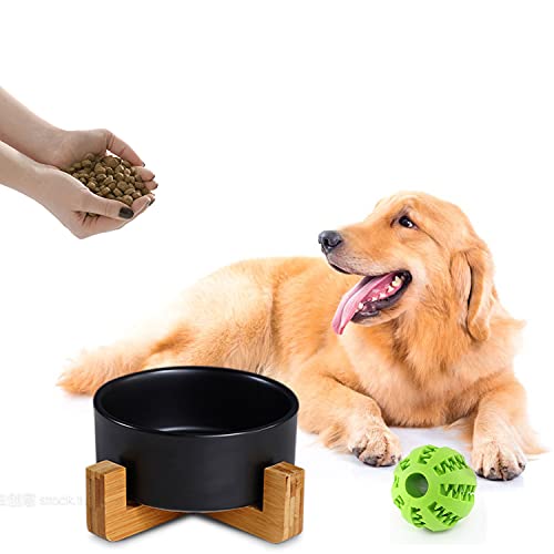 Ceramic Black Cat Dog Bowl Set with Stand (Black / Medium Size Dog Bowls 850ML*2)