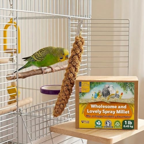 1 LB Wholesome Spray Millet for Birds (1 Pound (Pack of 1))