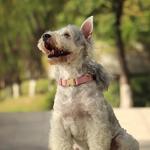 Soft PU Leather Dog Collar (L: Fit 16-27" Neck(55-110 lbs) / Pink)