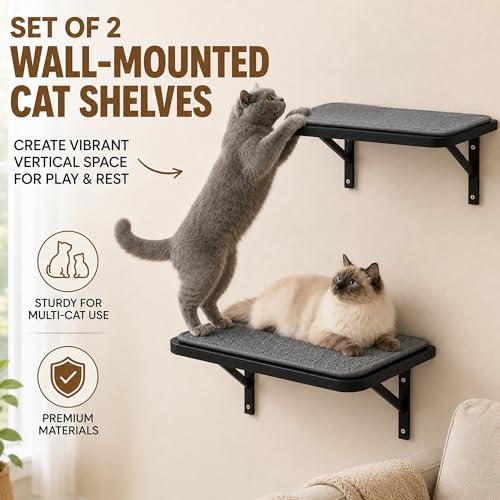 Cat Wall Shelves Set of 2 (2PCS Shelf with Gray Sisal)