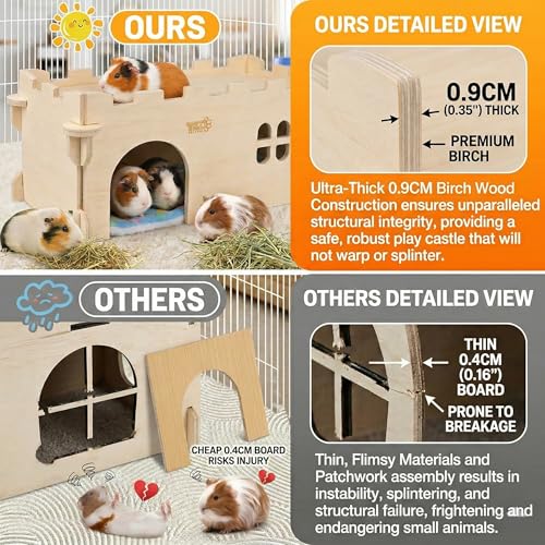 Castle Chinchilla House (Large Assembly Style)