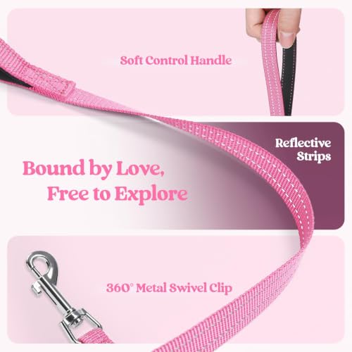 Dog Harness Small Sized and Leash Set (Pink Floral / Xs (chest: 13.3 - 15.5"))