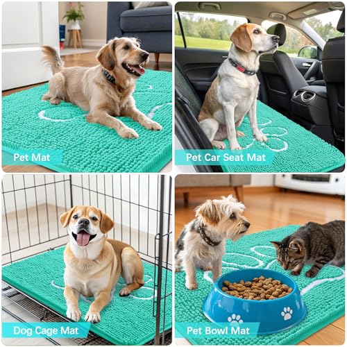 Dog Door Mat for Muddy Paws 59x35 (Teal / 59" X 35")