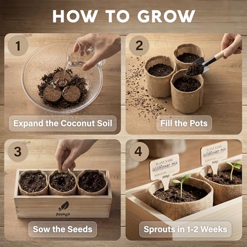 Wildflower Seed Mix Growing Kit
