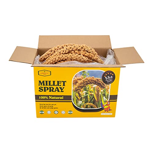 5.5LB Spray Millet for Parakeets