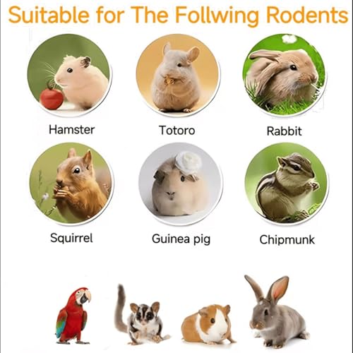Chinchilla Food (10 Ounce (Pack of 1))