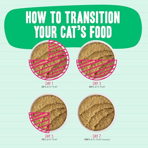 B.F.F. Play Best Feline Friend Paté Lovers (2.8 Ounce (Pack of 12))