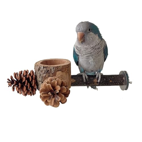 Bird Perch with Feeder for Cage & Chew Toys Pinecones (1 pack perch bowl)