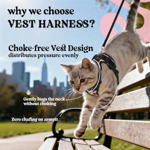 Cat Harness and Leash Set (Xs / Berry Pounce)
