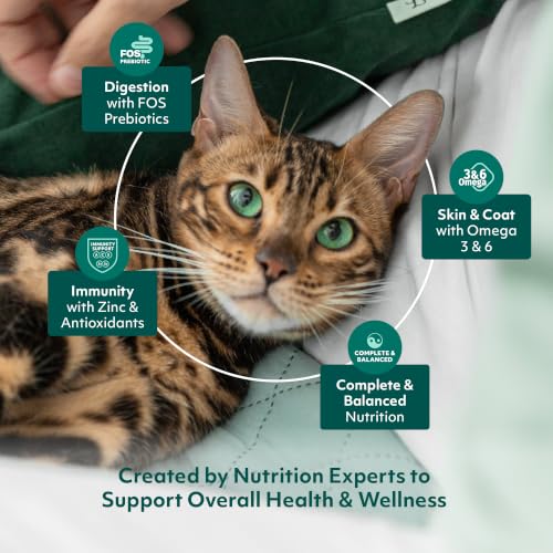 High Protein Wet Cat Food (3 Ounce (Pack of 12))