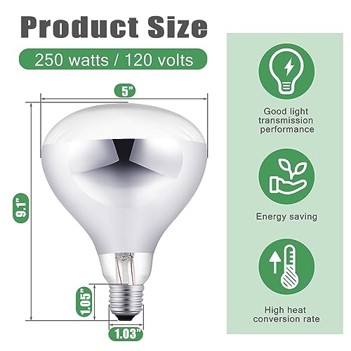 24 Pack Heat Lamp Bulbs 250 Watt (Silver)