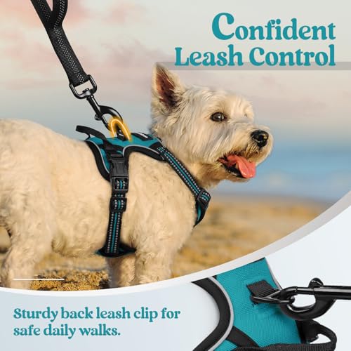 Dog Harness No Pull with 2 Leash Clips (X-Small / Teal)