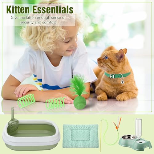 10 Pcs Kitten Starter Kit for Indoor (Classic / Medium / Green)