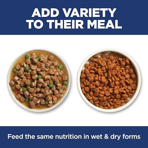 Sensitive Stomach & Skin Dry Cat Food (13 Pound (Pack of 1))