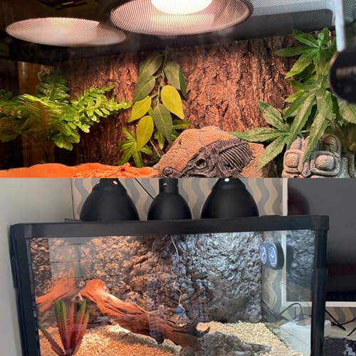 Large Caliber Reptile Lamp Cover Dome Supports Up to 250W (Cone Dome W/ Switch / 1pcs*Dome-7.0" (Max 250W))