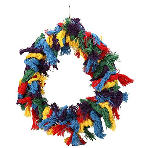 Bird Parakeet Colorful Swing Toys (Large)