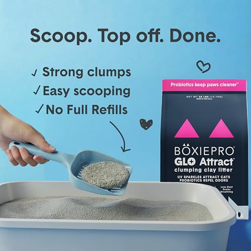 Boxie Glo Attract Clumping Cat Litter 40+ Day Odor Control Dust Free 28 lb (28 lb)