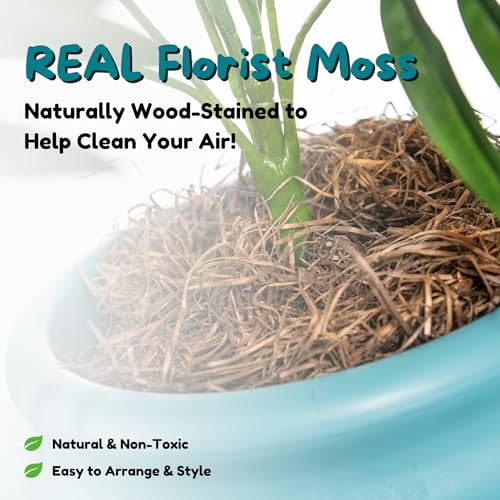 Original Hidden Litter Box Planter (Palm Plant / Essentials Kit / Coastal Blue)
