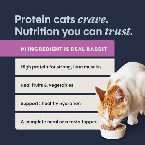 Original Grain Free Real Rabbit Recipe Natural Wet Canned Cat Food (3 Ounce (Pack of 24))