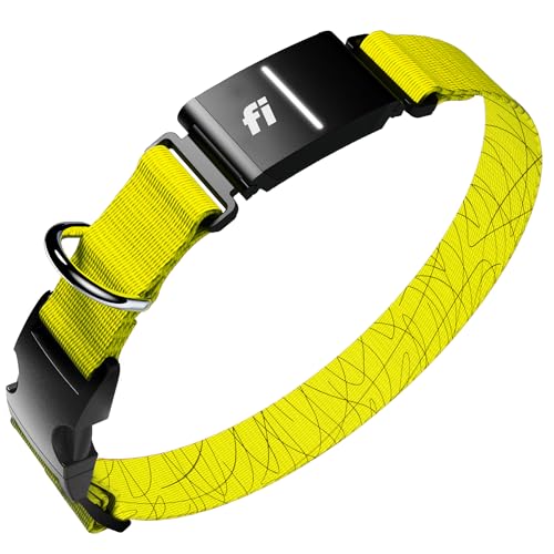 Series 3+ GPS Dog Collar & Tracker (Yellow / Medium)