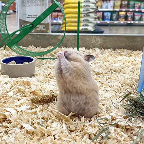 Organic Oat Hay for Small Pets (15 Ounce (Pack of 1))