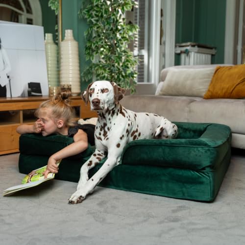 Large Dog Bed (Dark Green - VE / X-Large)