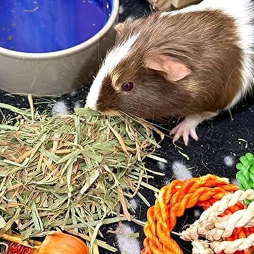Organic Meadow Hay for Small Pets (15 Ounce (Pack of 1))