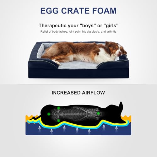 Orthopedic Medium Dog Bed (35.0''l x 25.0''w x 6.5''th / Blue)
