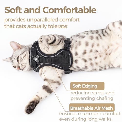 Cat Harness and Leash Set (Black / Large)