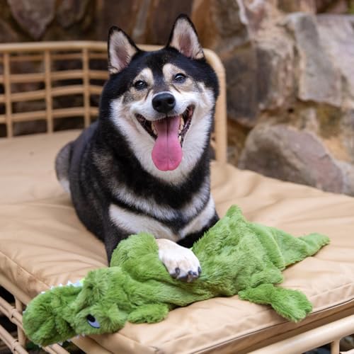 2-in-1 Stuffless Squeaky Dog Toy - Alligator, Large (Green/Alligator / Large)