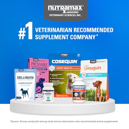 Nutramax Cosequin Joint Supplement for Dogs (132 count / MSM)