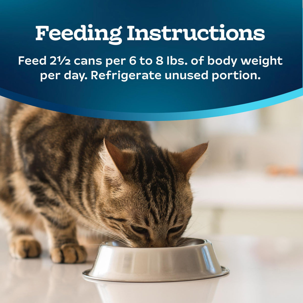 Tastefuls Salmon Wet Cat Food (3 Ounce (Pack of 24))
