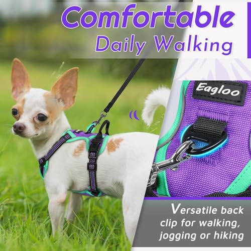 Dog Harness for Small Dogs (X-Small / Purple & Turquoise)