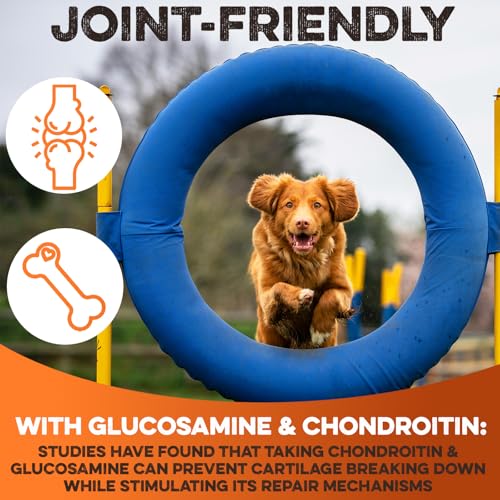 Beef Collagen Chew Sticks for Dogs