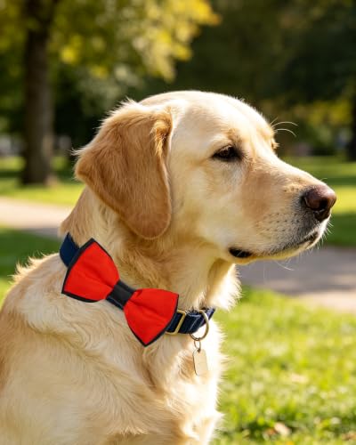 10 Pack Mixed Colors Dog Bowties for Large Dogs Sliding on Collar (M/L)