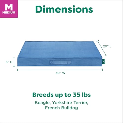 Cooling Dog Bed (Medium / Blue)