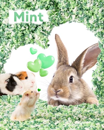 Hamster Bedding 15L (Green / 15L)