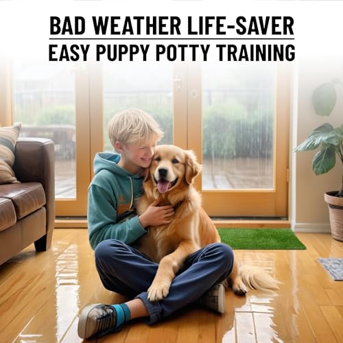 Pet Training Collection Easy Clean Indoor