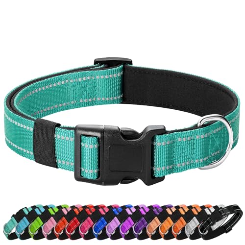 Reflective Dog Collar (Teal / L:width 1"neck 17.5-27")