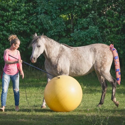 6 Pcs Horse Tail Bag Breathable Guard (Modern Style)