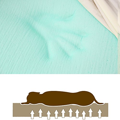 Orthopedic Dog Bed (50.0"L x 36.0"W x 10.0"Th / Chocolate)