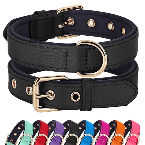 Soft Padded Dog Collars for Large Dogs (Black / XL: Fit 17-23" Neck)