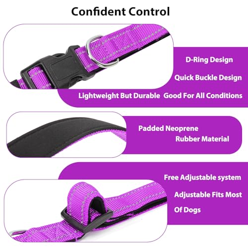 Reflective Dog Collar (Dark Magenta / L:width 1"neck 17.5-27")