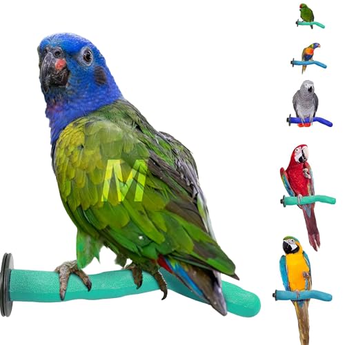 Safety Pumice Bird Perch (Green / Medium 12")