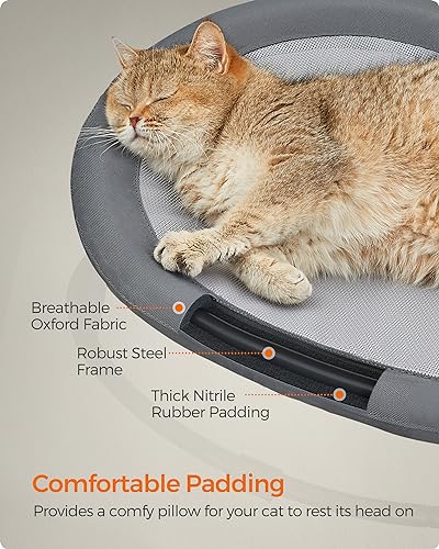 Elevated Cat Bed (20.5"L x 16.5"W x 7.9"H / 1 Tier)